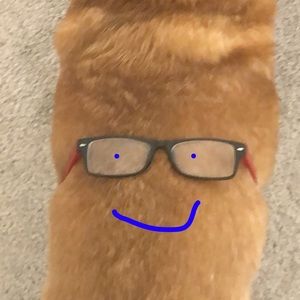 Meet your Posher, Sanjay